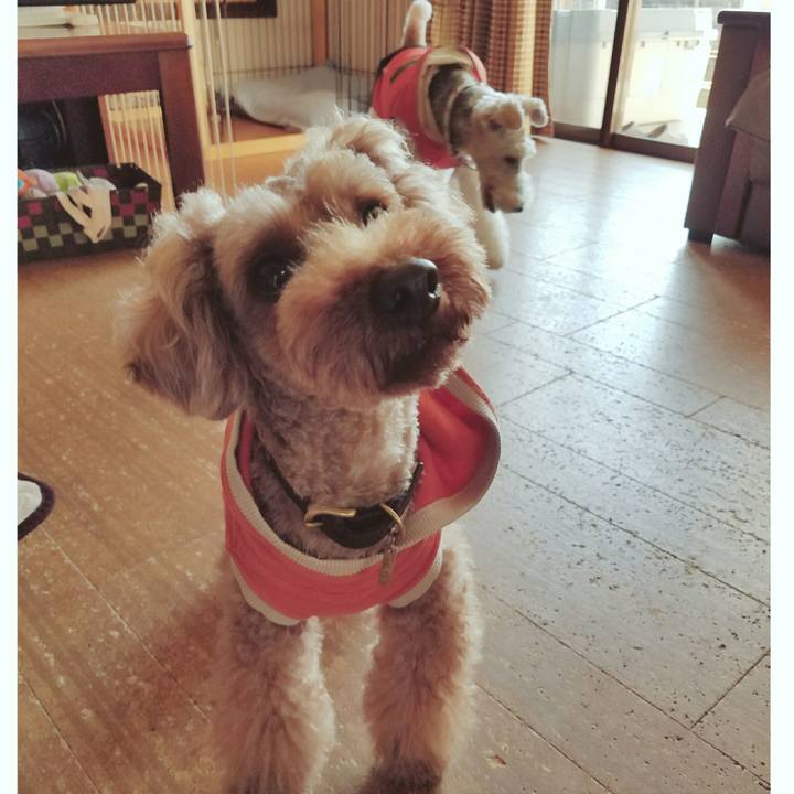 888ce068 5499 41e2 9dde 9f56799d93bc