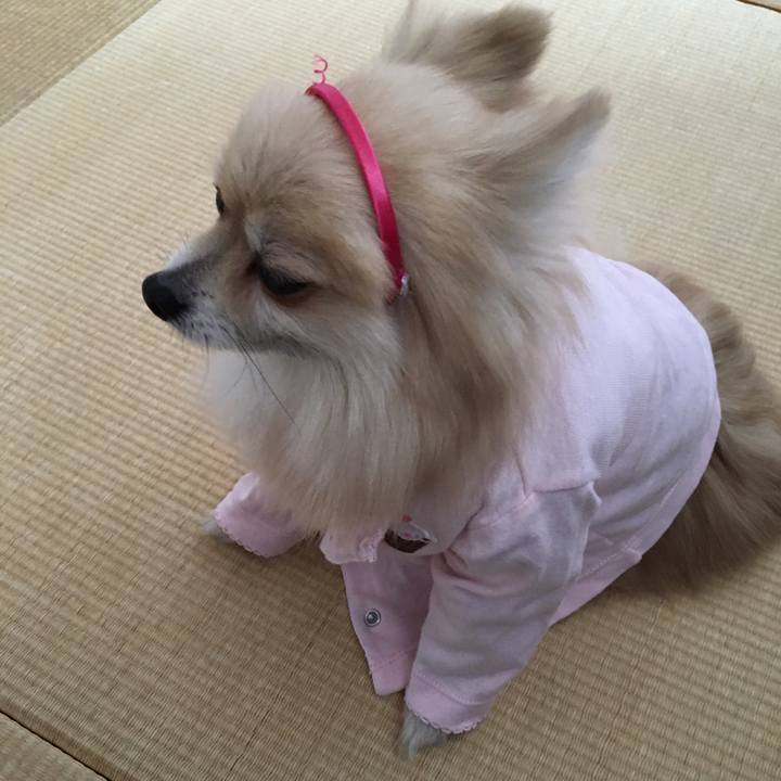 888d634d 69f6 44bb a45f 15c71f211be4