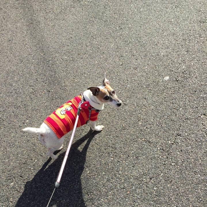 888db548 8c77 4ac7 99a5 1b8854cd360d