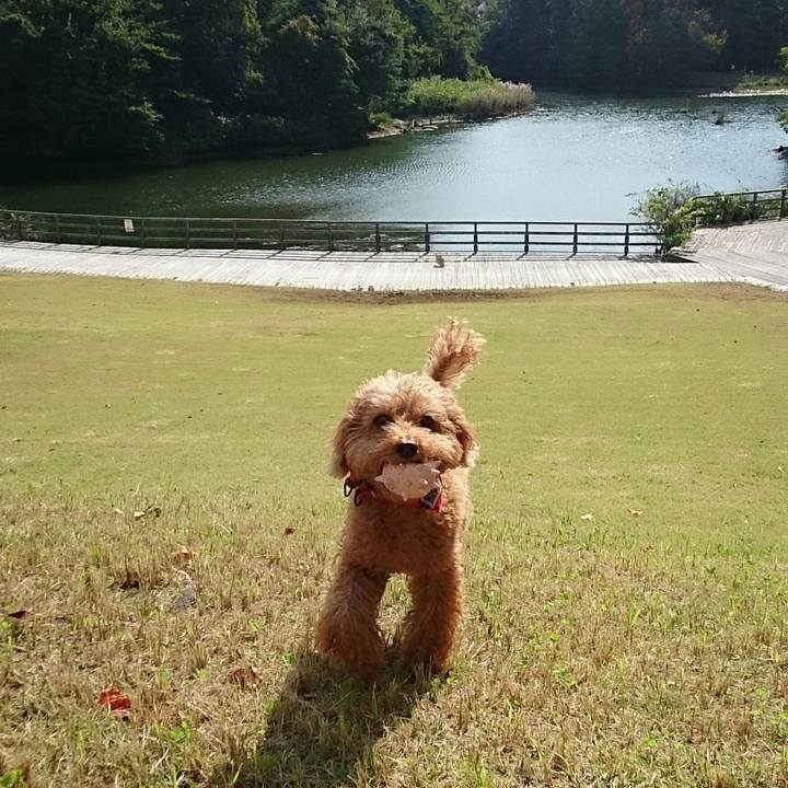 888e5457 7d33 4291 991a 11c6d483dea9