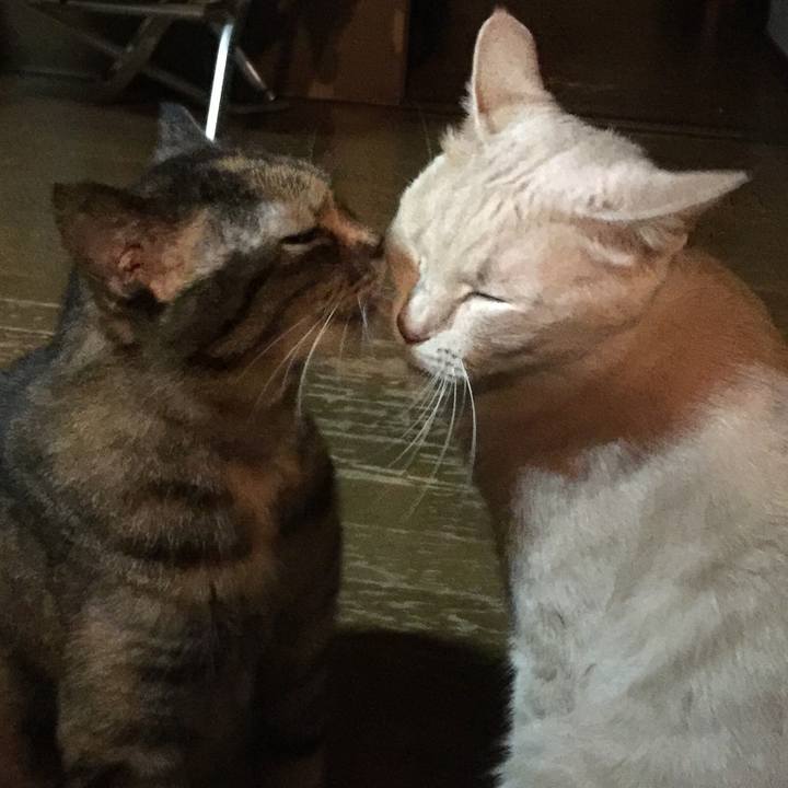 888e7515 92e6 4b89 b536 01437656da10