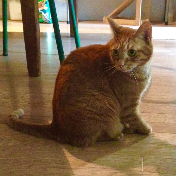 888ee0dc 52fa 4709 9c31 05b4c6ce4331