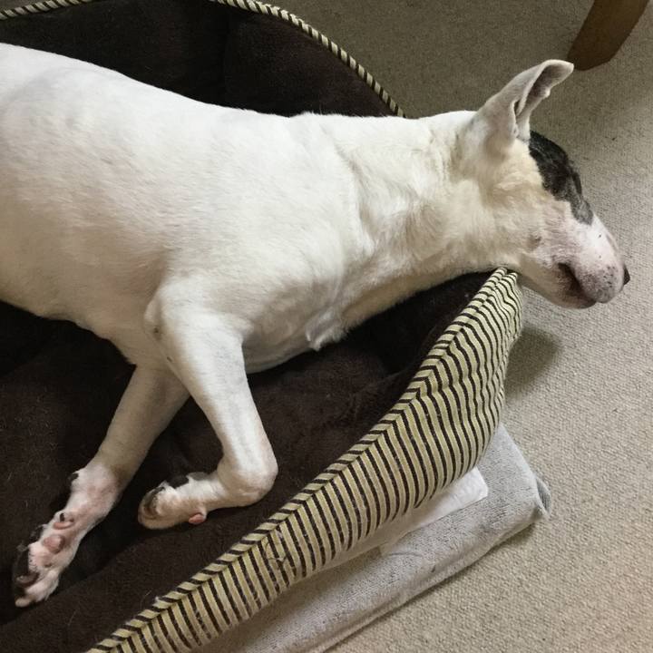 888eec66 db61 40a5 8e7c 02868ffffe40