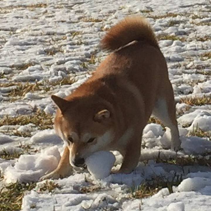 888f2a43 cd4c 487a 8caf 5086cbb4182c