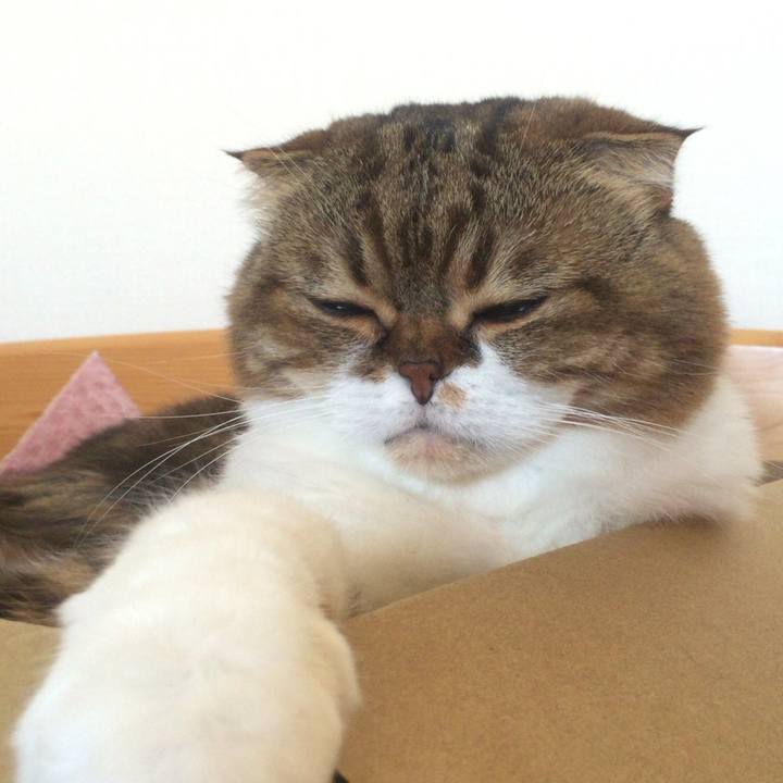 888fa242 2217 4835 8fe1 949d4d09d254