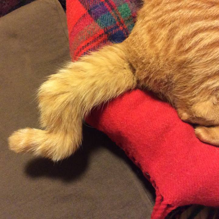 888fc2ba a2be 49f1 a05b 666e948e697b