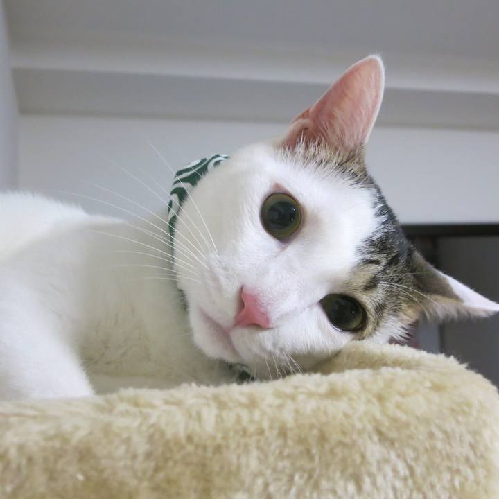 888fcf6a c55a 4086 9bf8 7f0118b6e398