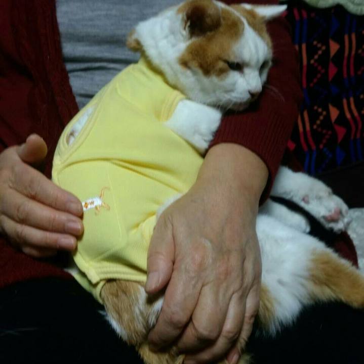 888fe1b3 9308 4dbb 8994 09fd03644601