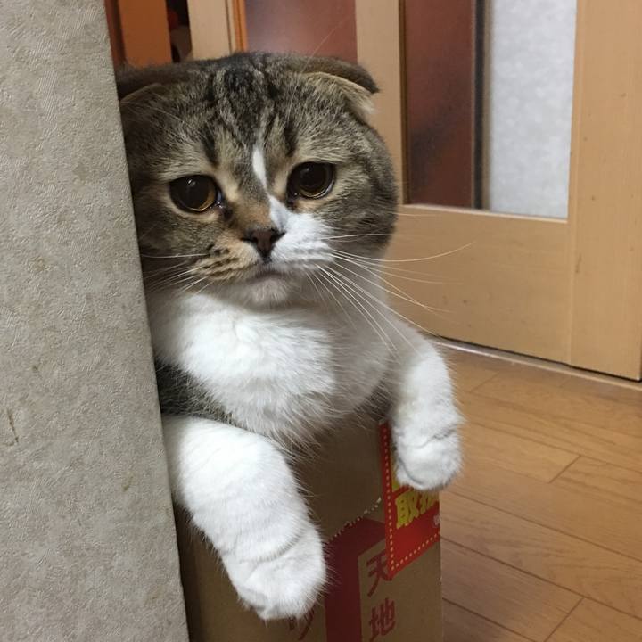 88900d31 a510 4e02 9be4 3baab3246dde