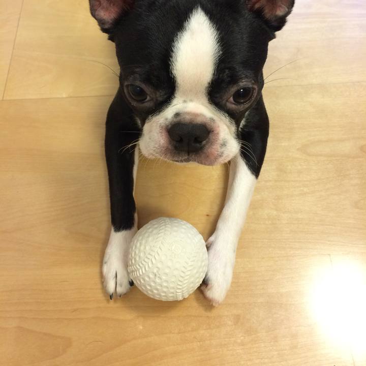 88903003 314c 4286 ad98 8226f886fc5e