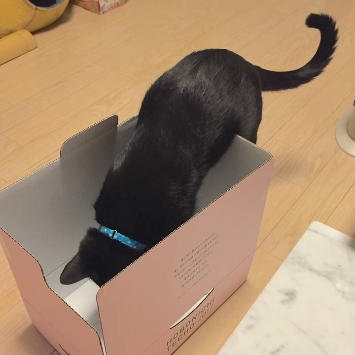 889044fe 473b 4600 9535 8b1b703d271a