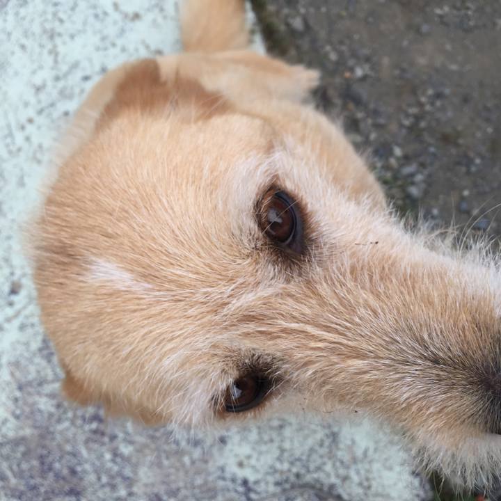 889111cc 0576 495e 9147 a05267f3cd23