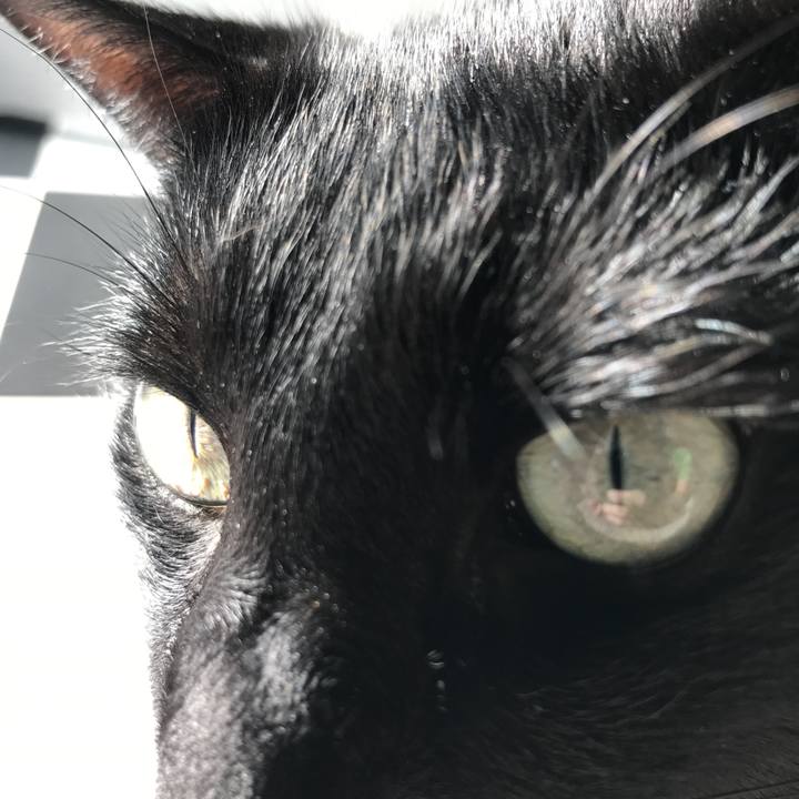 88911565 9f8c 419e 9108 79c7ae0a982a