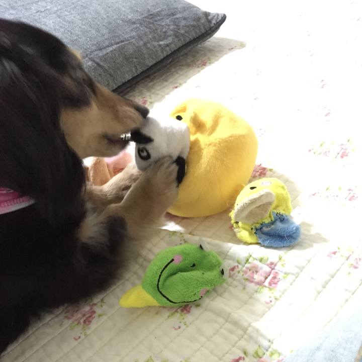 88911ecf b8a4 4179 b91e c448e1d31bc0