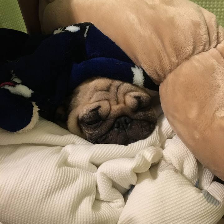 889156c2 e6c1 44c1 9f72 e686465bd449