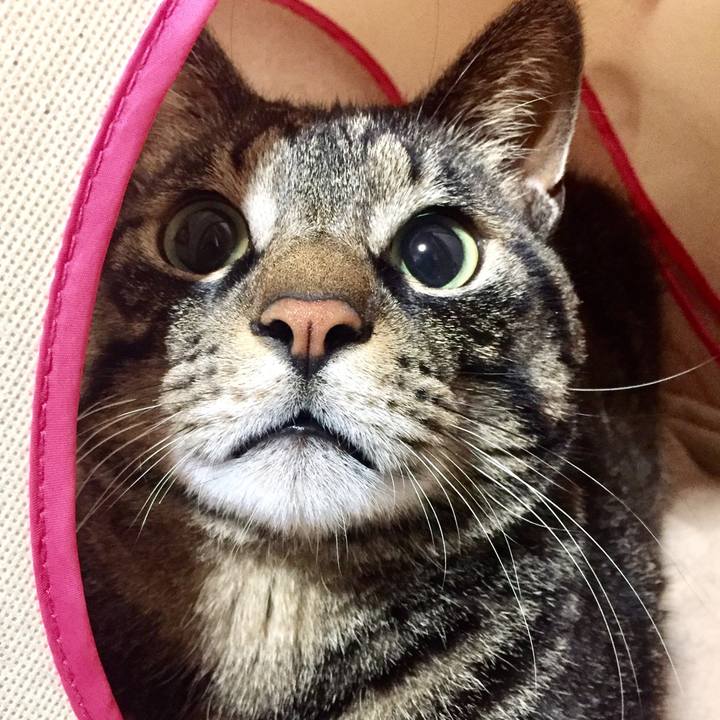 88919031 093c 413e b462 be289e10901f