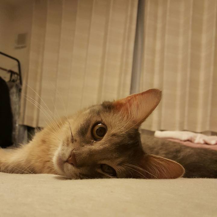 8891b5e2 30da 486a a8e0 28c6bd65a3b2