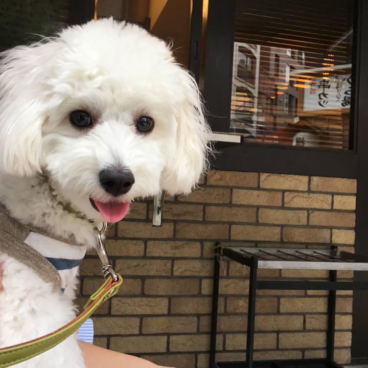 88924410 78d6 4228 aaf5 907b3129580b