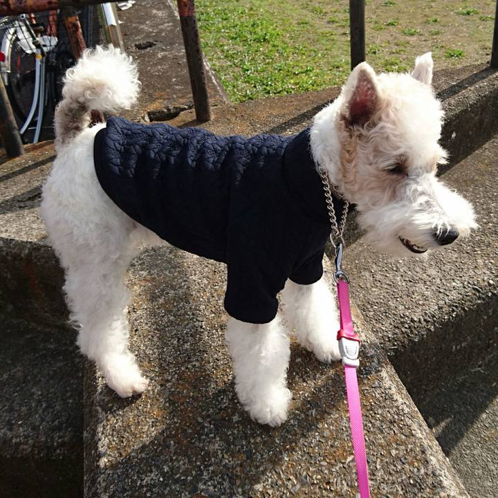 8892e6d1 90ce 4970 b779 2f1e09cd76b9