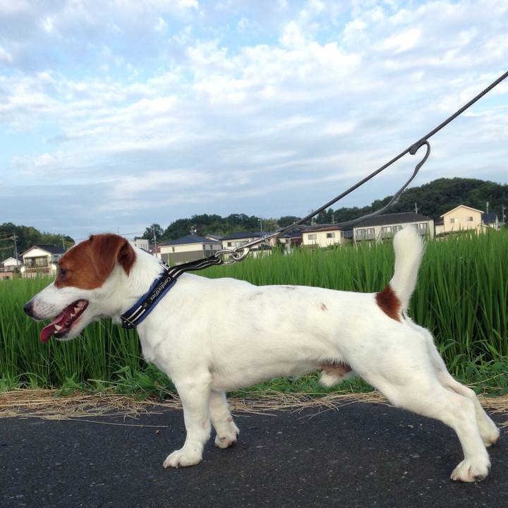 88931c50 85d2 4e84 8a46 7794e75113ab