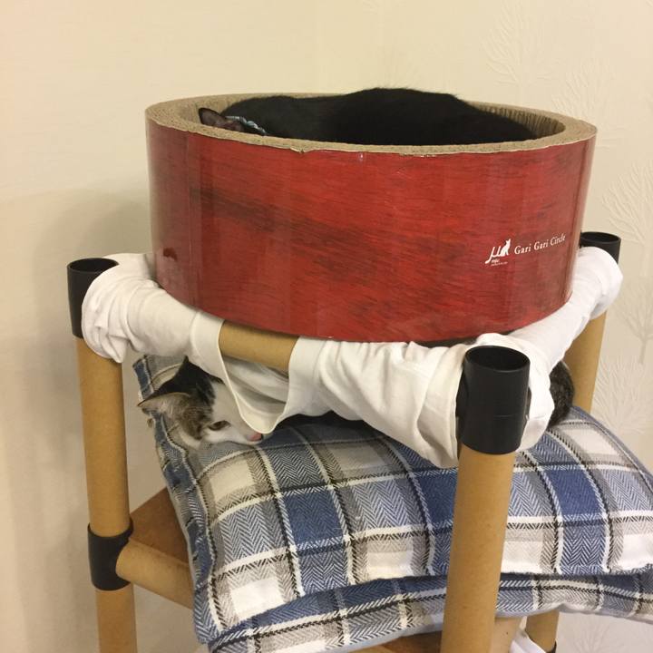 88933580 74db 4c58 bb56 46425f065f26