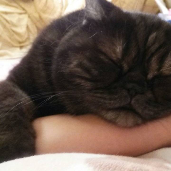 889382a9 e226 4314 b6dd 60bb84d66925