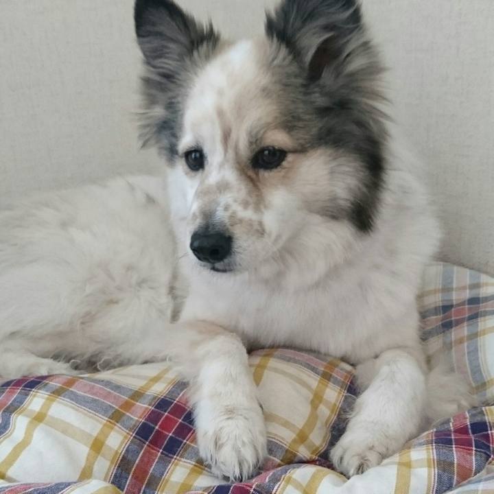 8893bc42 42e3 4851 be2e b12d562c62e8