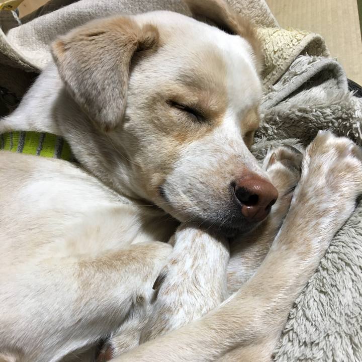 8893deaf 699a 4901 a171 85373f30a946