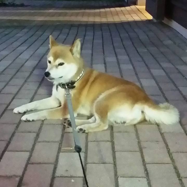 8893dfca 21b8 4423 8a8f 7e542bb77fbb