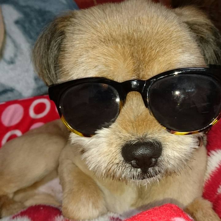 88942170 48e5 4582 8c64 deeedcb7218f