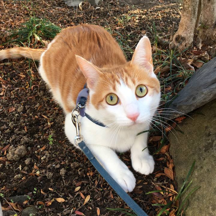 88942886 8e7d 4d12 8360 726d5b20fd3a