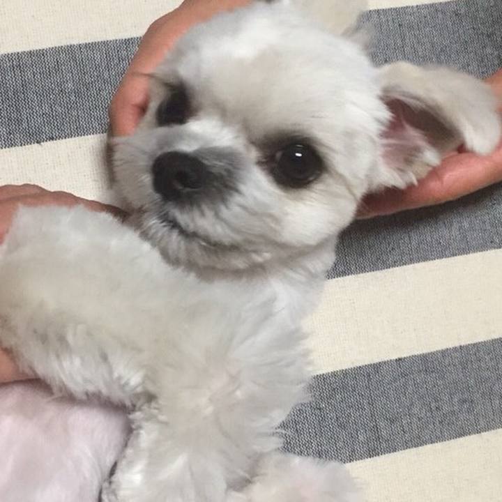 889442cd 48cd 4987 9dc0 e1c98c62991c