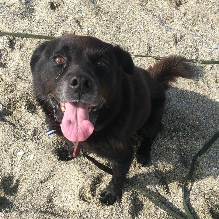 88949608 d7e0 4a90 a678 4c3be205b24e