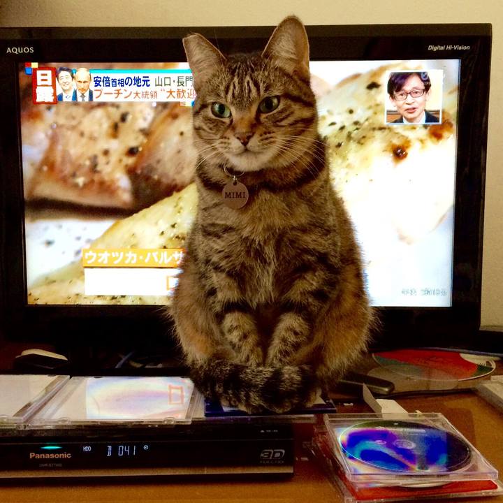 889534aa 6f38 4ed9 8f3b 0e0f67af3e38