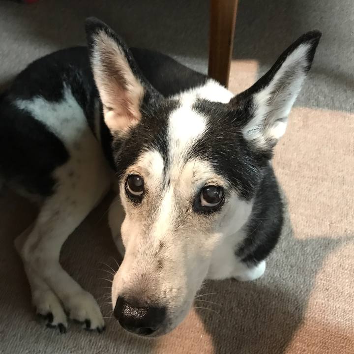 88953f3b 7cb1 442a a5a2 4629f89b7bb6