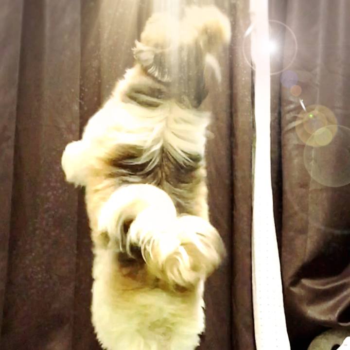 8895c427 186d 4301 b8cf fe252ca094c1