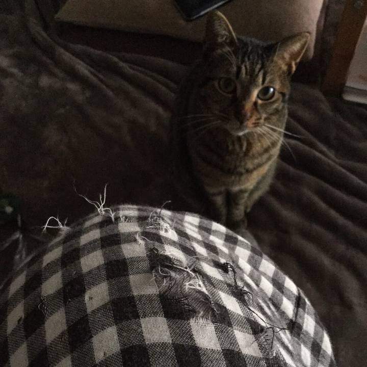 88968110 2a80 4527 b640 54d999cc7a89