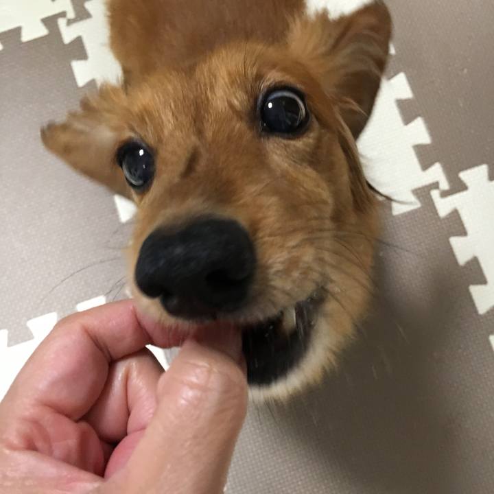 8896f7d3 9009 45cf 8c3a eead8163f479