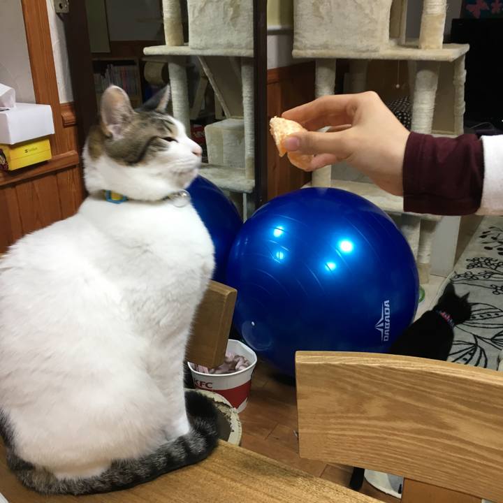 88976180 f835 46e0 a957 74efe8411517