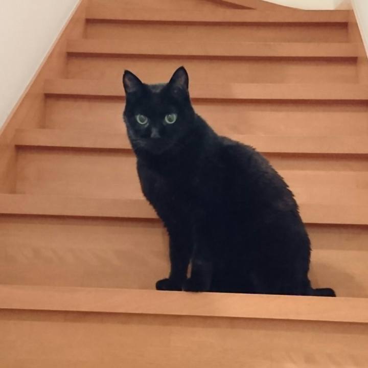 8897ed7d f7fb 4d7c b8ac 4fe188a5d096