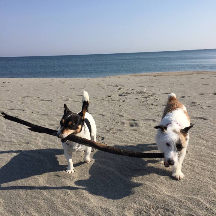 88984bd0 67a5 4734 89d2 c81ca9e94093