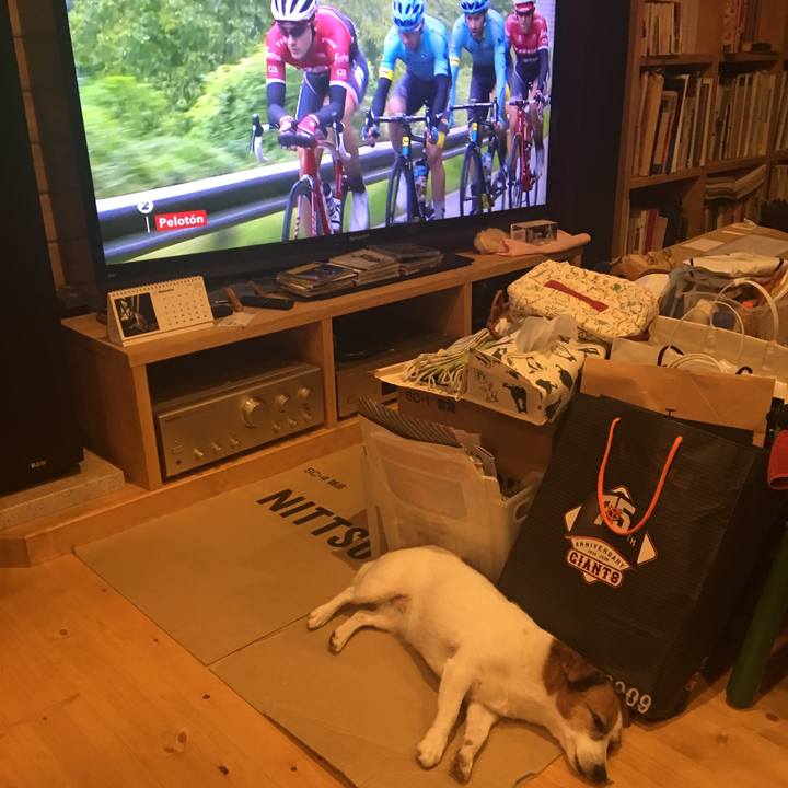 88985253 13ae 4c9c b8ee 3aff3331427b