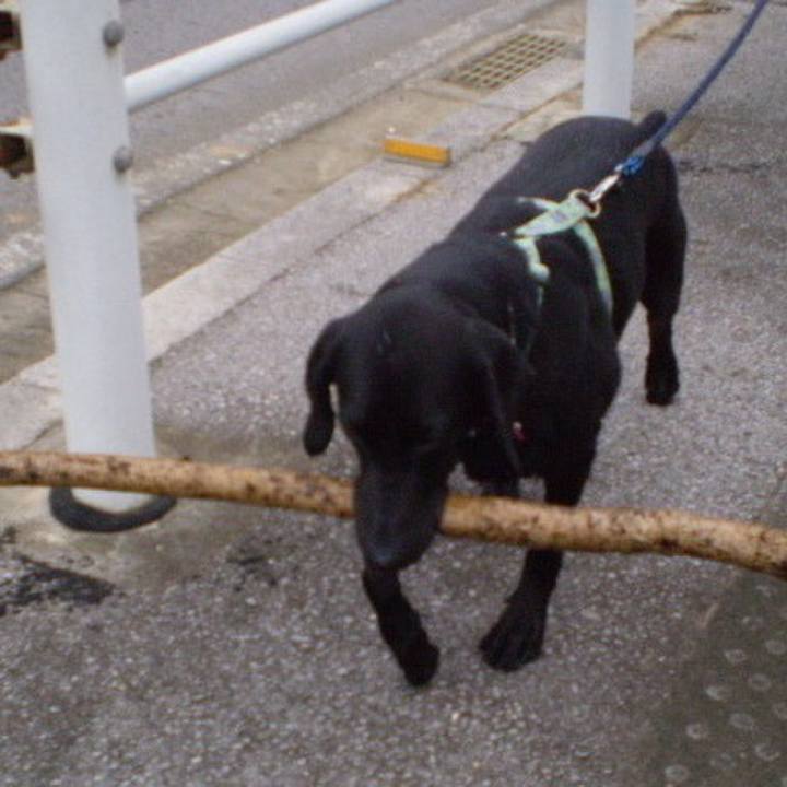 889882e6 d02f 4331 8de2 6ed08600a5ca