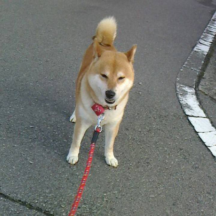 8898a395 4588 4f19 a811 3f572aec7696