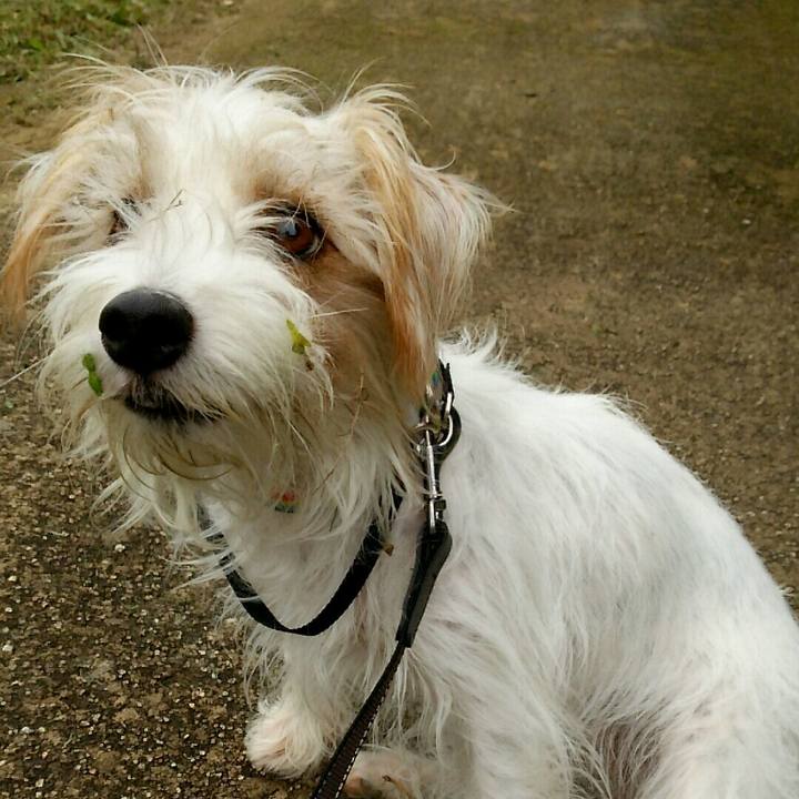 88990ed5 a55f 4776 8fe4 3a219570052d