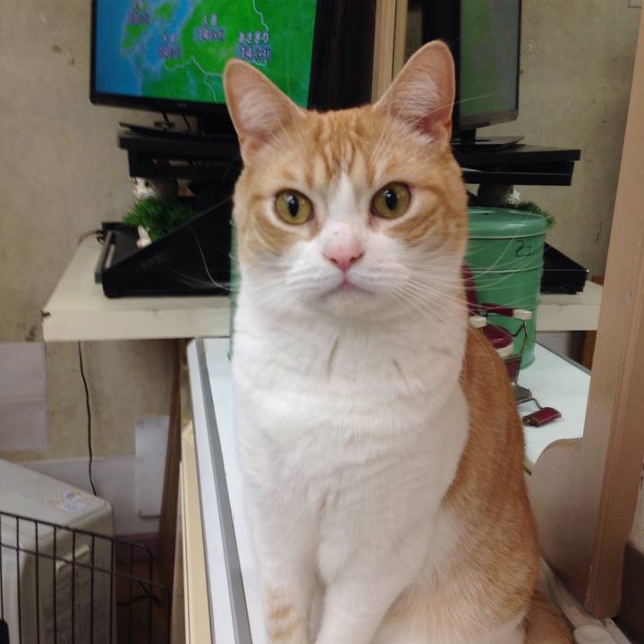 889948ed 3a28 4fbf a519 7ec665485d07