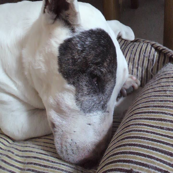 889a2b4b 98b5 4acd a609 8dfcb93e2e82