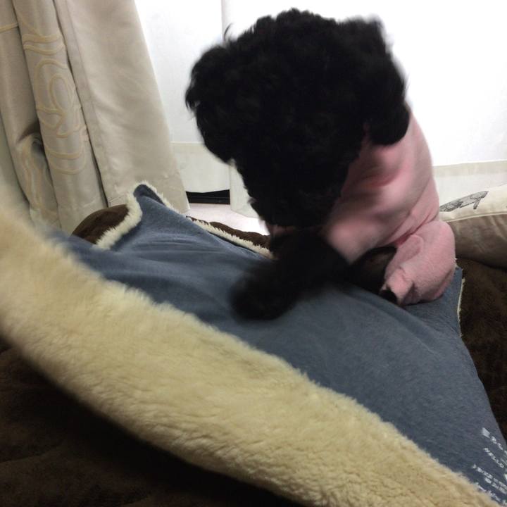 889a5458 59d9 4413 8ae8 e986e70f7963