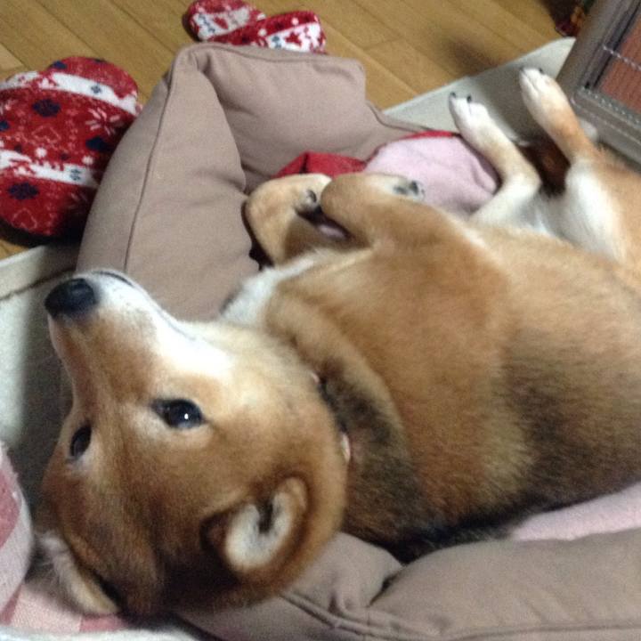 889ae185 3582 4d66 ab40 05c901a88466