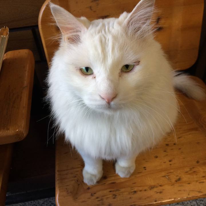 889afd71 3c97 46e5 a01a e9b56a9299c6